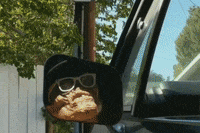 Beepbeepcreep GIF by DISCOUNT CEMETERY