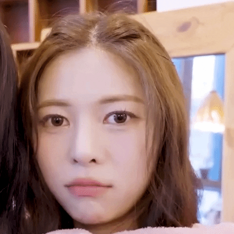K-Pop Agree GIF
