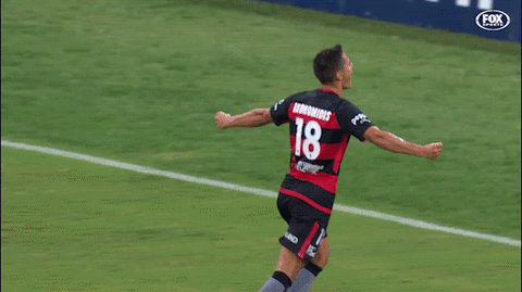 western sydney wanderers celebration GIF by wswanderersfc