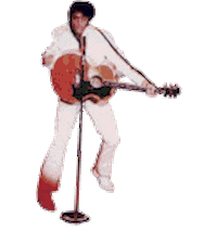 elvis presley images STICKER