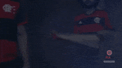 flamengo st nrn nacaocrf stfla GIF