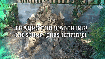 Thanks For Watching