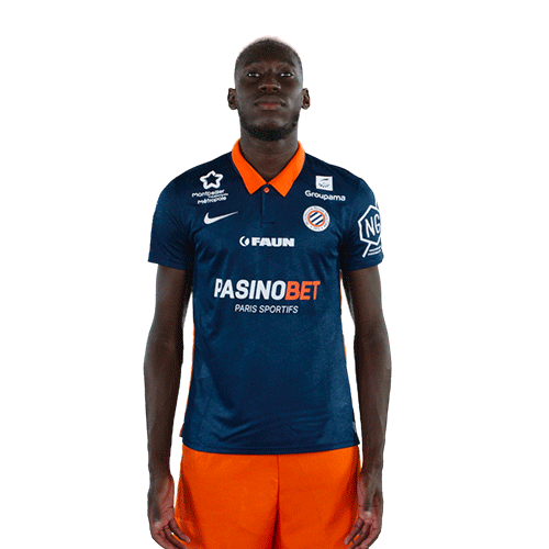 Allez Go Sticker by MHSC