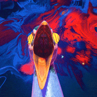 Dr Peacock Hardcore GIF by DVTD MGMT