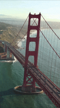 San Francisco City GIF by Yevbel