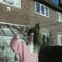 amazon parrot GIF