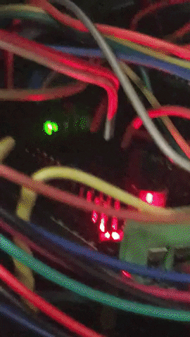 Natan_Lawson giphyupload GIF