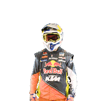 Dakar Sticker by Red Bull