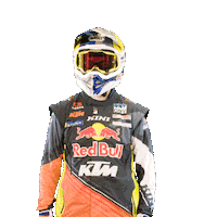 Dakar Sticker by Red Bull
