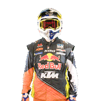 Dakar Sticker by Red Bull