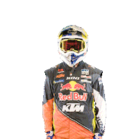 Dakar Sticker by Red Bull