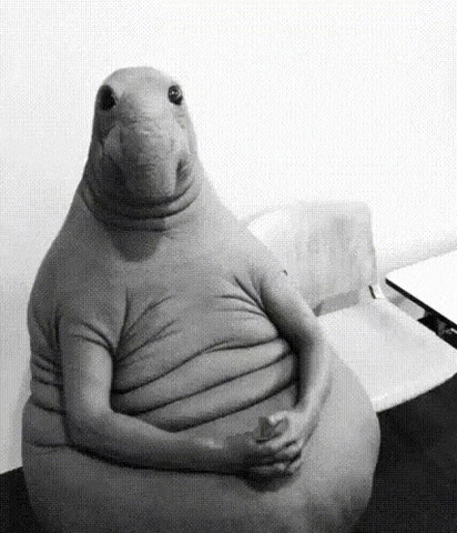 spencerallred waiting blob GIF