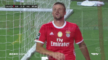 Sl Benfica Slbgif GIF by Sport Lisboa e Benfica