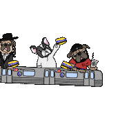 fun travel Sticker by Ivo Adventures