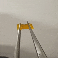 Technology Hydrogel GIF by Wyss Institute