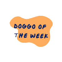 Dog Sticker by Aminopets