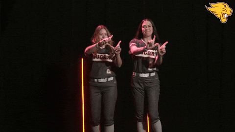 Softball GIF by CUCougars