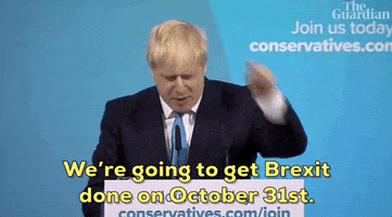 uk boris johnson prime minister jeremy hunt GIF