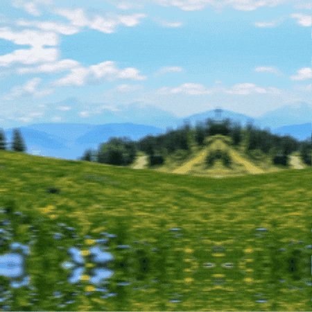 Farm Animal Spring GIF by TeaCosyFolk
