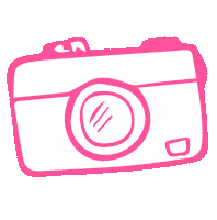Photo Camera Sticker by Marleylilly