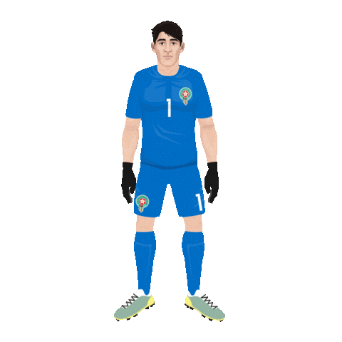 World Cup Football Sticker by Panini America