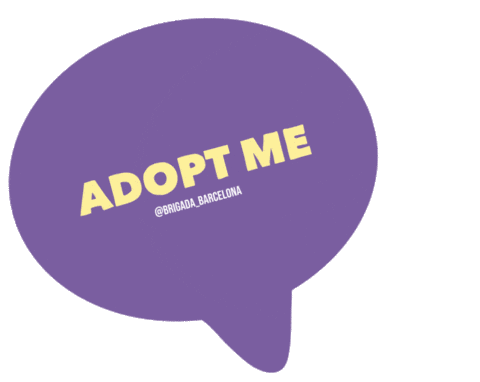 Bab Adopt Sticker by Brigada Barcelona