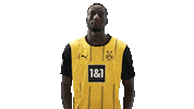 Borussia Dortmund Arms Sticker by Bundesliga