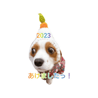 Happy Dogs Sticker