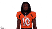 Denver Broncos Football GIF by Broncos
