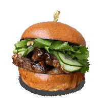 Cake Burger Sticker by K Gifs