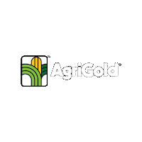 Agriculture Corn Sticker by AgriGold