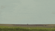 Visual Effects Vfx GIF by ActionVFX