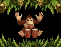 Donkey Kong GIF