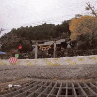 Japan GIF by FIA World Rally Championship