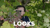 StittsvilleOnPatrol coming danger not good look out GIF