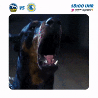 screaming game on GIF by easyCredit Basketball Bundesliga