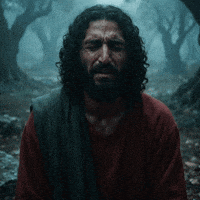 Latter Day Saints Jesus GIF by Jukebox Saints