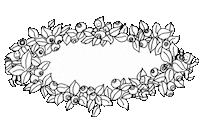 Text Frame Sticker