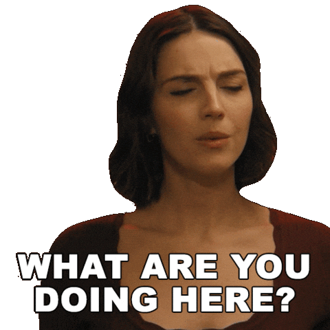 Why Are You Here Tv Show Sticker by HULU