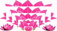 thamarai-restaurant tamil lotus thamarai southindianfood GIF