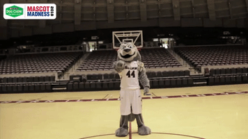 southern illinois siu GIF by Missouri Valley Conference