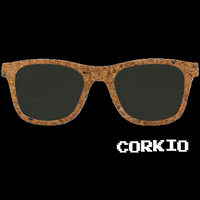 evenstore sun friday sunglasses glasses GIF