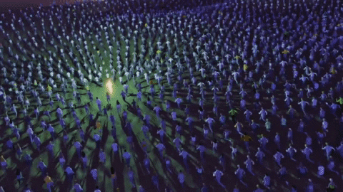 shujiishimoto giphygifmaker GIF