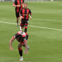 Happy Premier League GIF by AFC Bournemouth