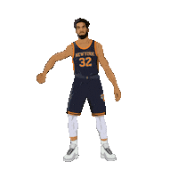 New York Knicks Nba Sticker by Panini America