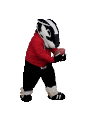 Football Touchdown Sticker by Brock University