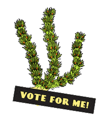 Vote For Me Museum Sticker by Museums Victoria