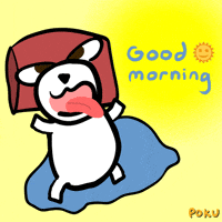 Good Morning Dog GIF by Poku Meow