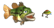 fish fishing STICKER