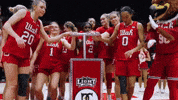 College Basketball Ncaa GIF by Utah Women's Basketball